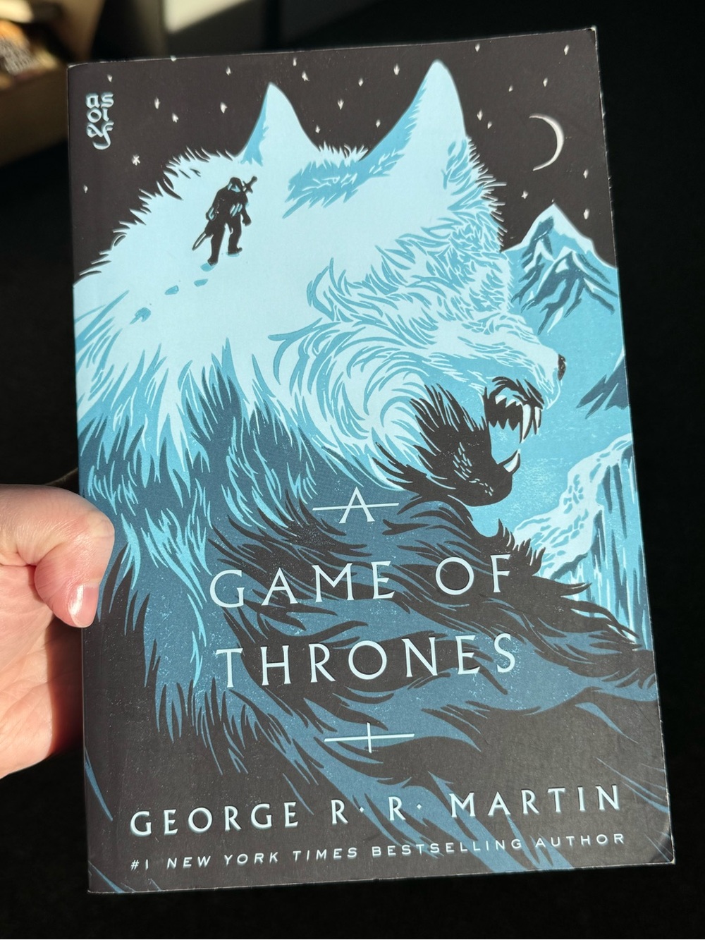 A Game of Thrones novel